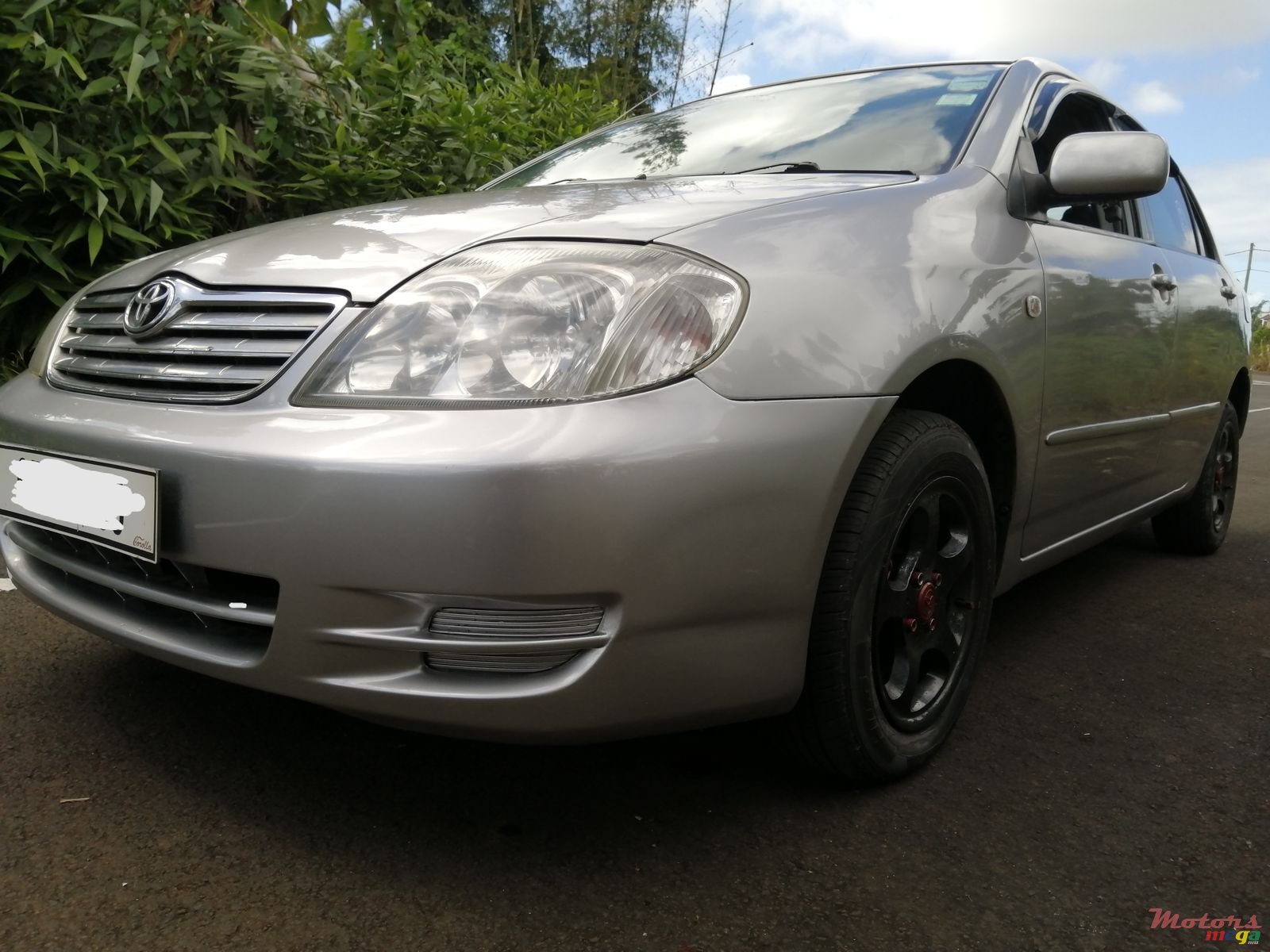 2003' Toyota Corolla photo #3