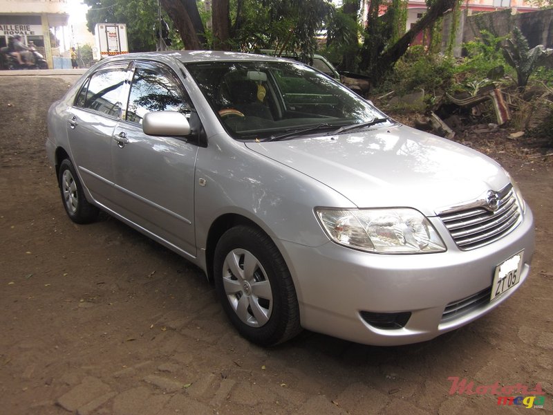 2005' Toyota Corolla NZE photo #1