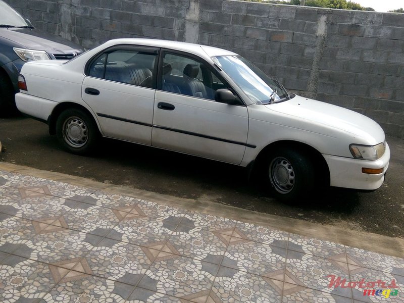 1995' Toyota Corolla photo #2