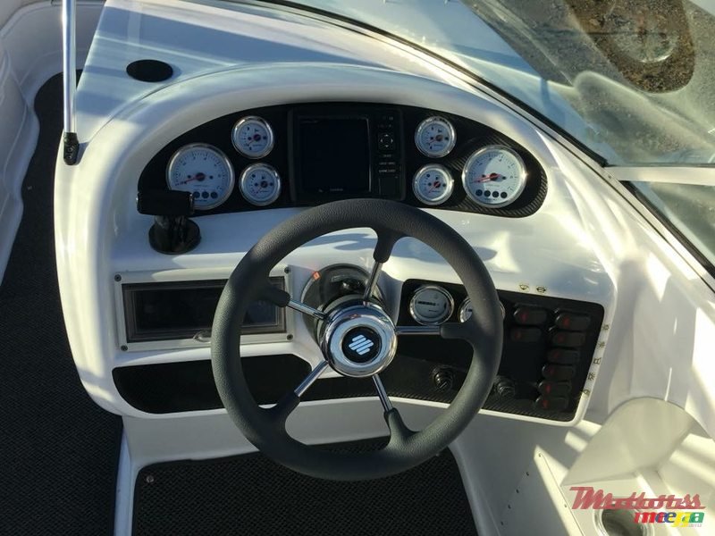 2014' Sunsation photo #4