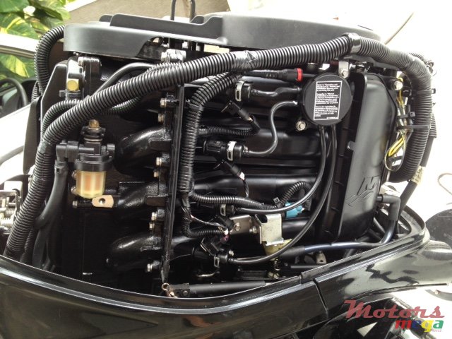 2012' Lagoon photo #6