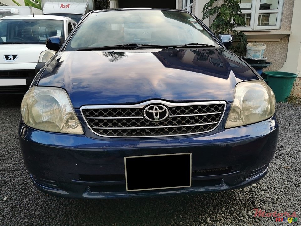 2002' Toyota Corolla NZE photo #2