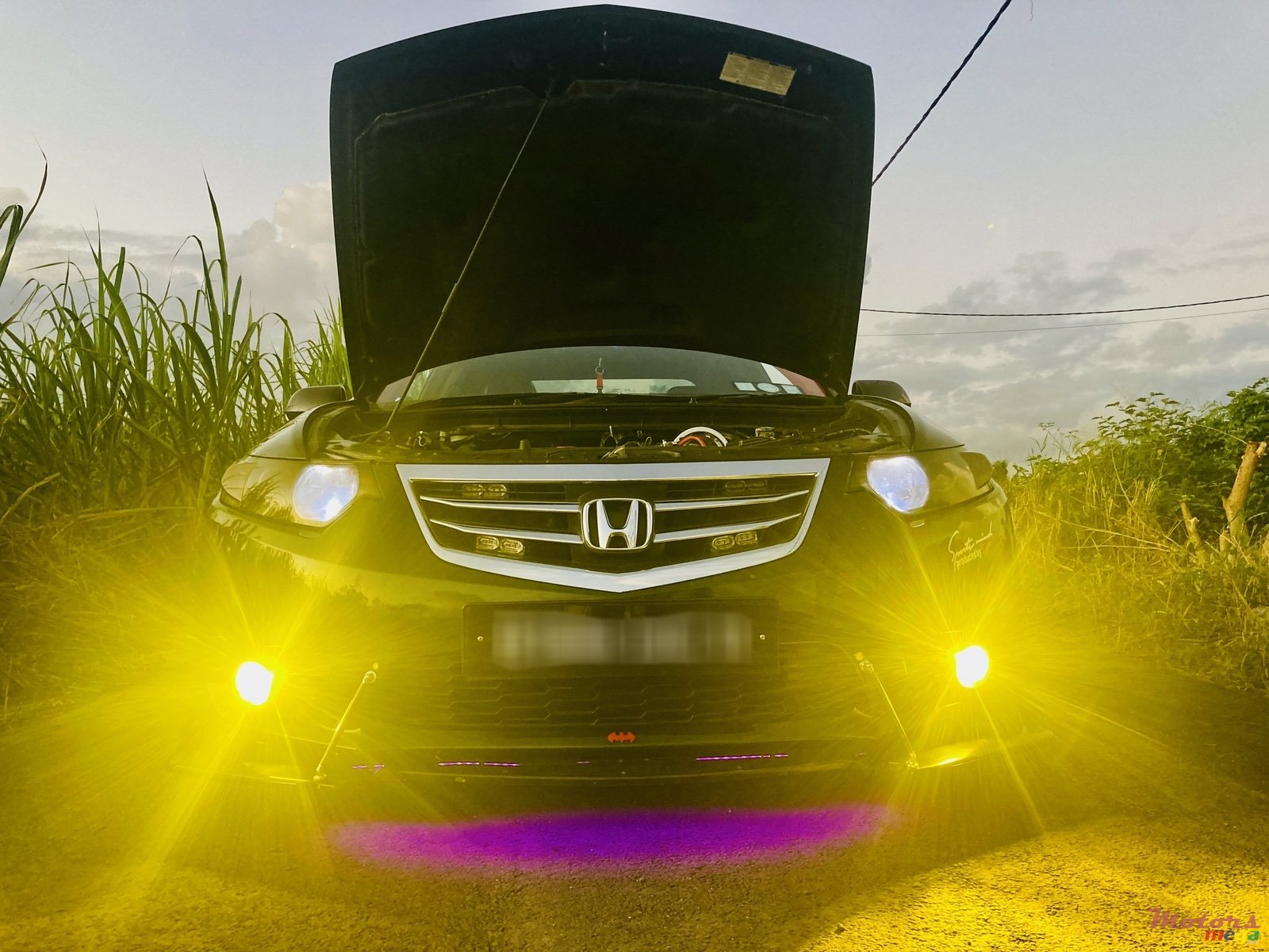 2011' Honda Accord Local DC 2011 photo #7