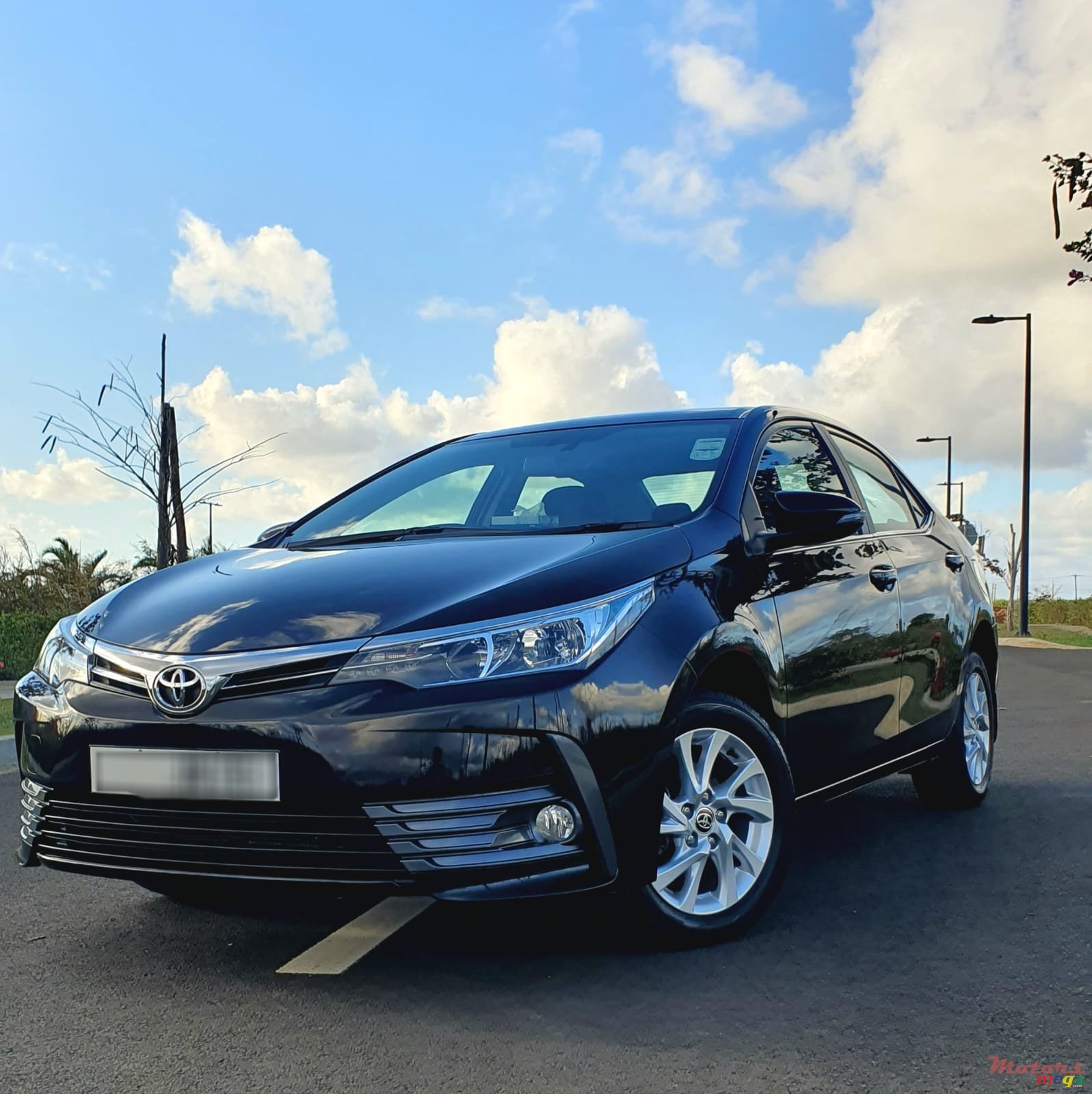 2020' Toyota Corolla photo #2