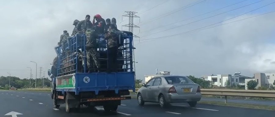 Eid-ul-Adha, Transport du bétail : La NLTA demande de respecter les règles en vigueur