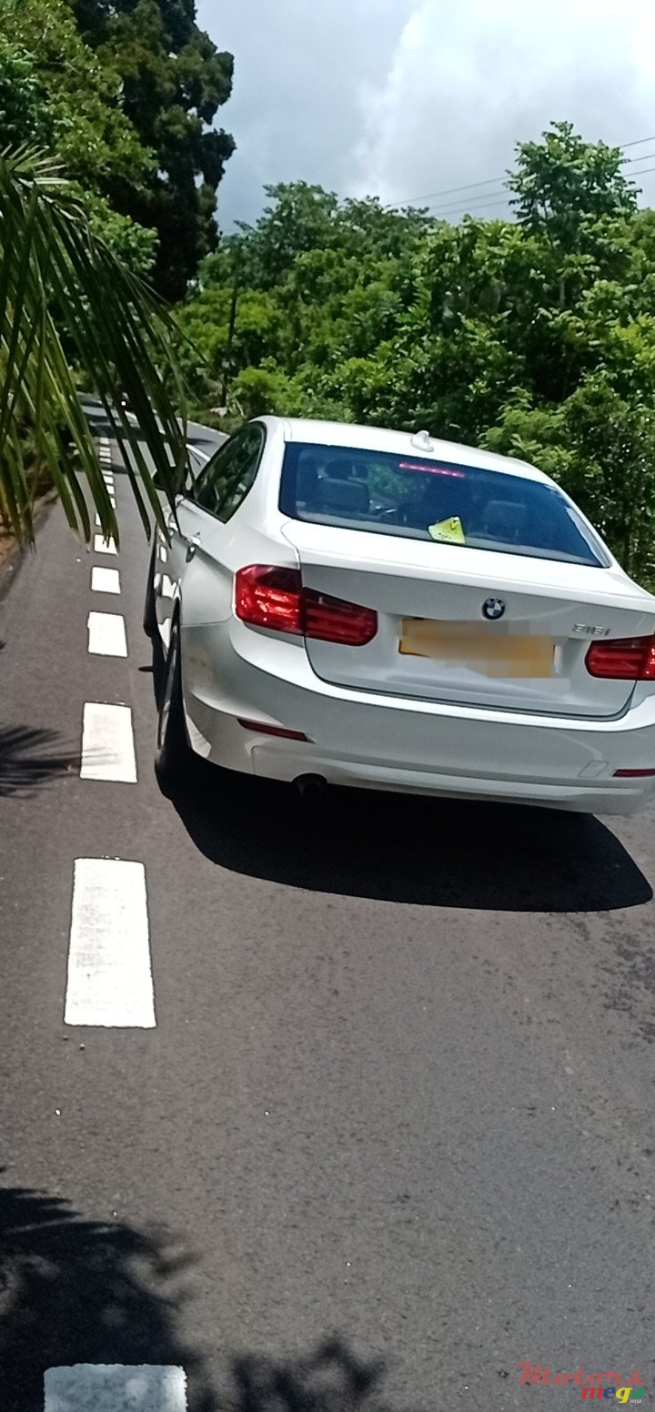 2013' BMW 316 photo #1