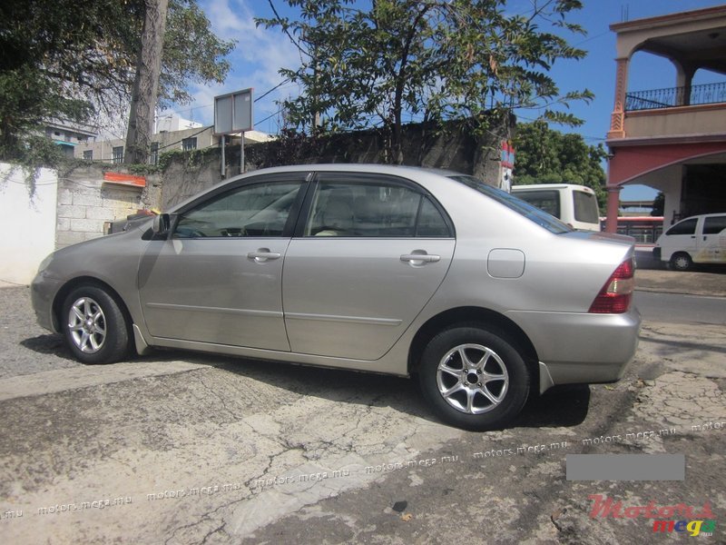 2001' Toyota Corolla NZE photo #3