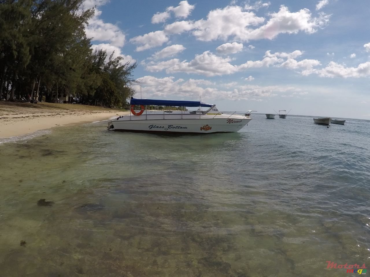 2007' Tremlett photo #1