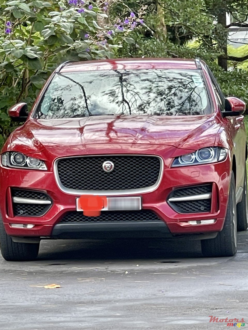 2017' Jaguar F-Pace R Sports photo #5