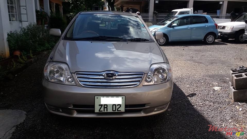 2002' Toyota Corolla NZE photo #1