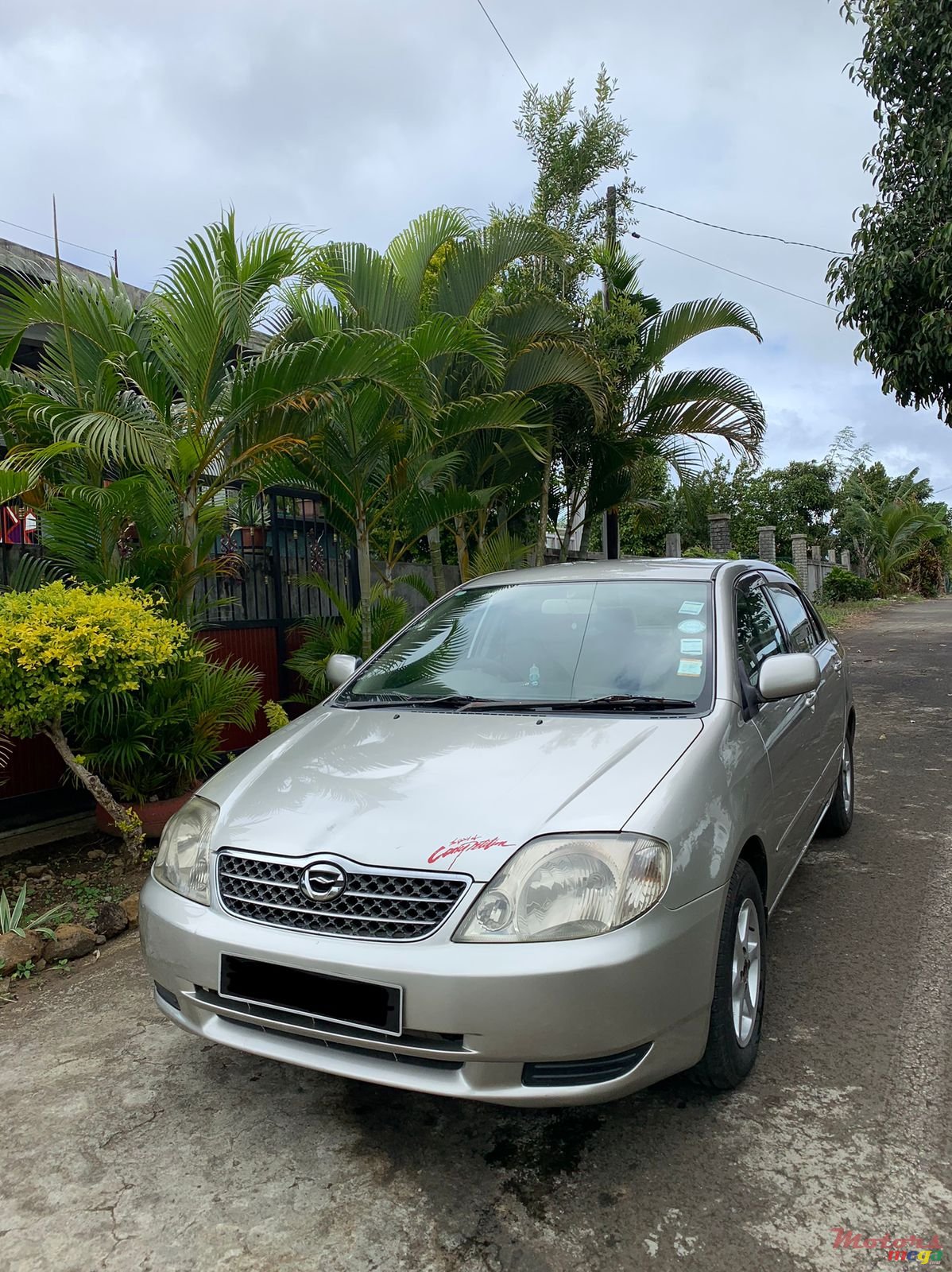 2000' Toyota Corolla photo #5