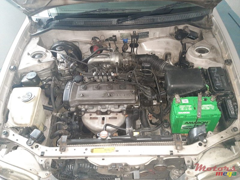1999' Toyota Corolla photo #6