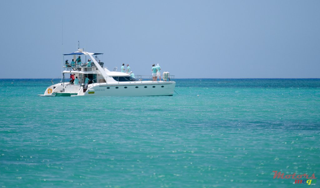 2001' ProCraft photo #2