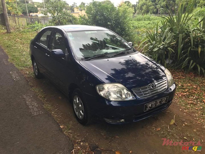 2002' Toyota Corolla photo #3