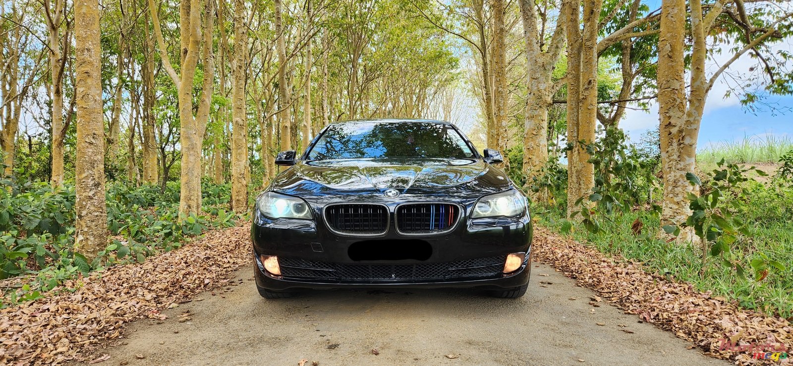 2010' BMW 5 Series photo #3