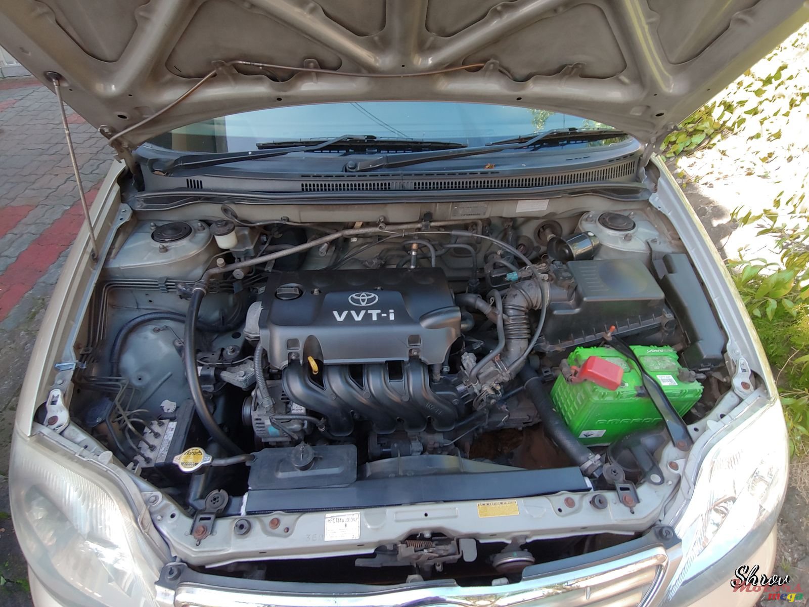 2002' Toyota Corolla NZE photo #6