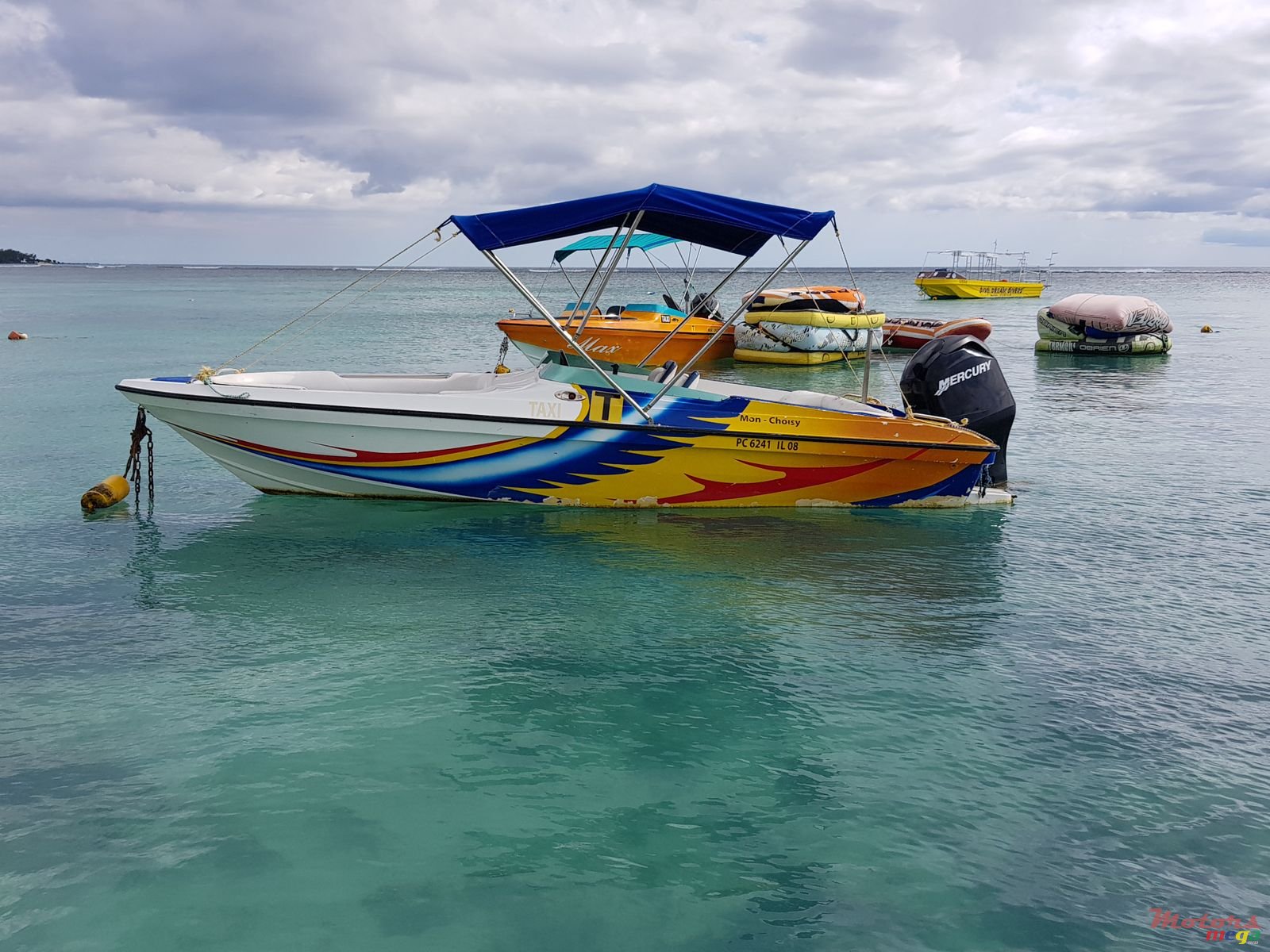 2007' Cobra photo #3