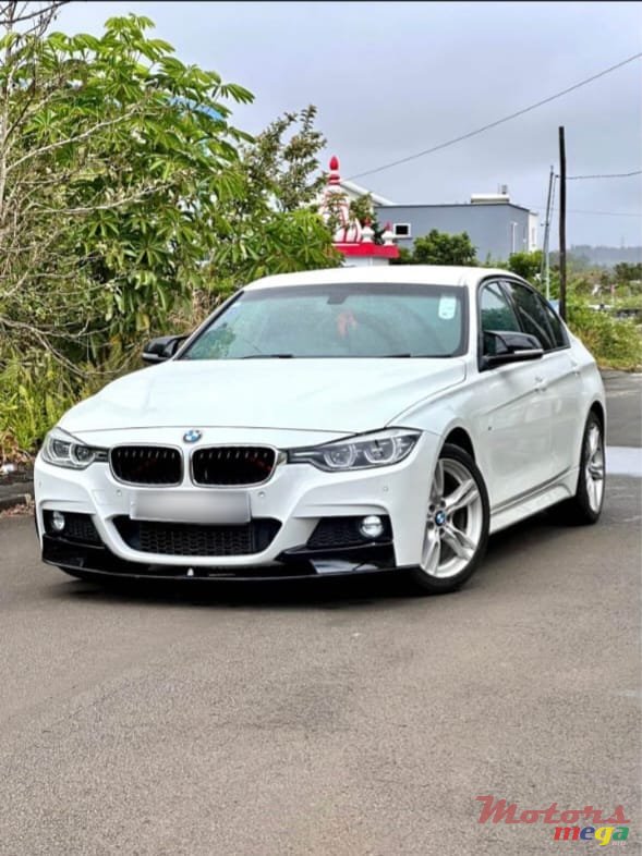 2015' BMW 318 photo #1