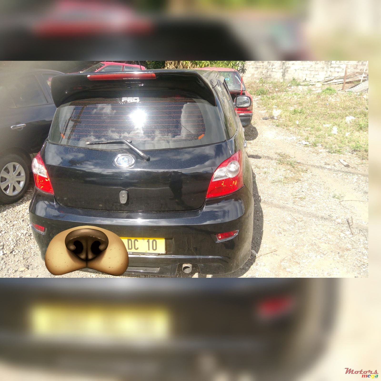 2010' GWM Florid photo #1