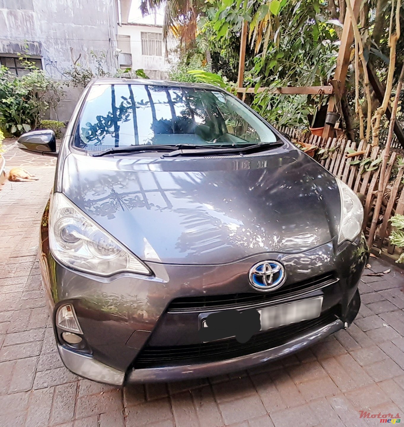 2013' Toyota Prius photo #4