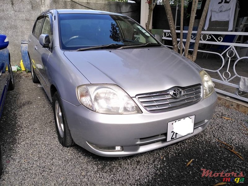 2002' Toyota Corolla NZE photo #2