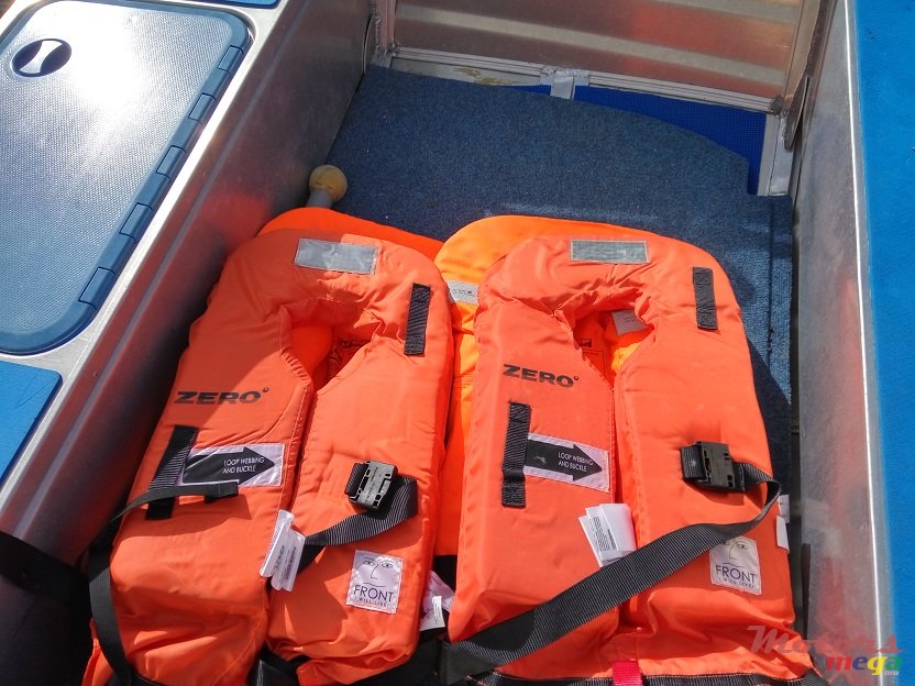 2013' Mercury Kimple 450 Adventure photo #5