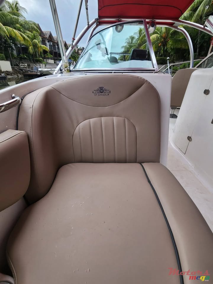 2014' Sunsation photo #4