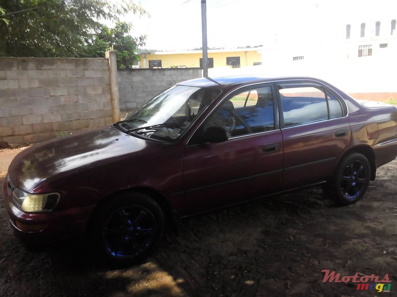 1992' Toyota Corolla photo #4