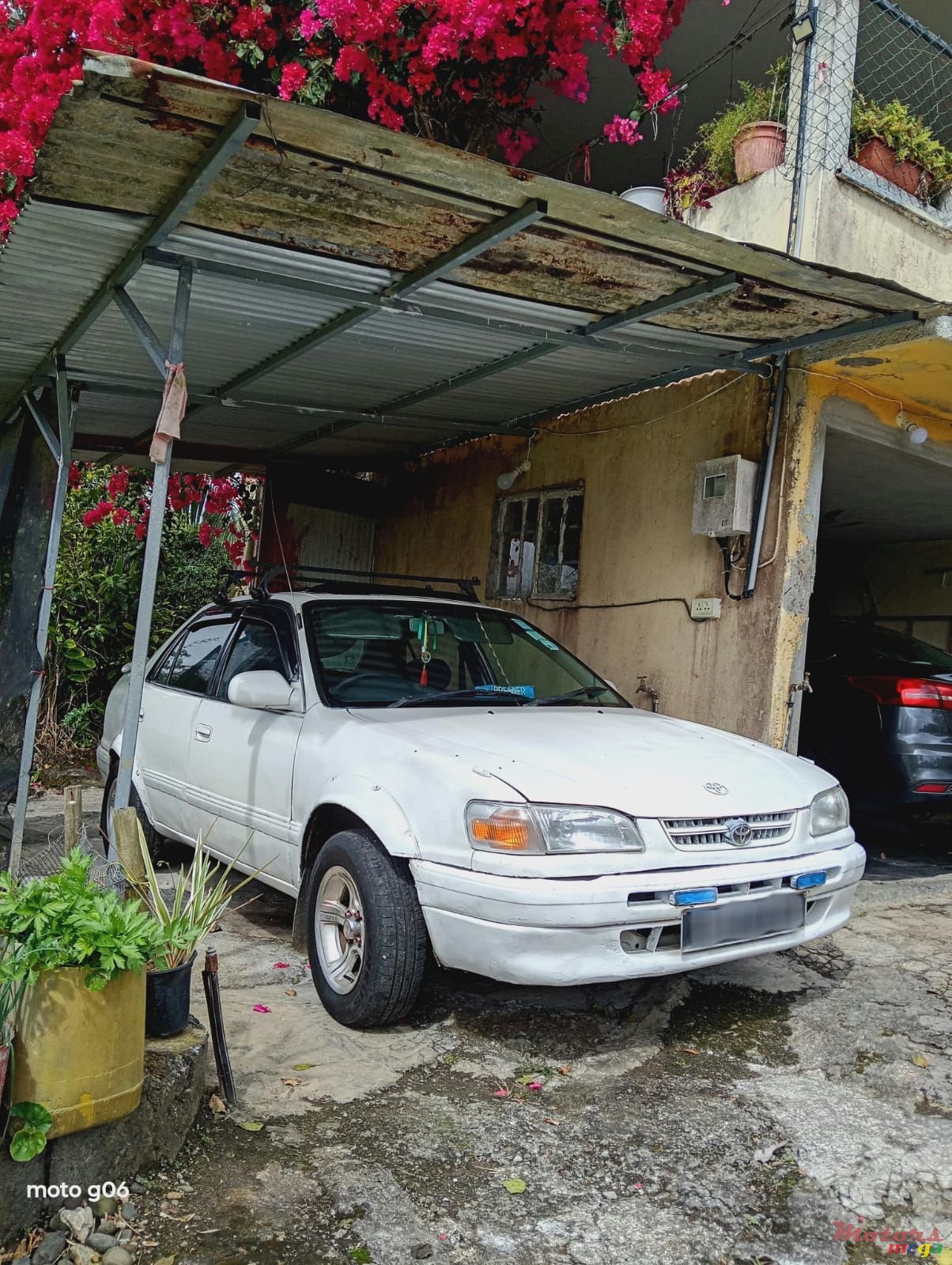 1996' Toyota Corolla photo #3