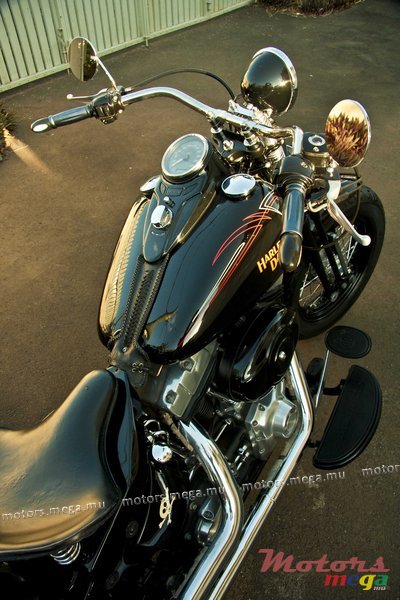 2009' Harley-Davidson Crossbones photo #6