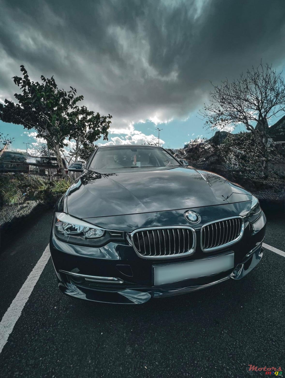 2013' BMW 316 photo #2