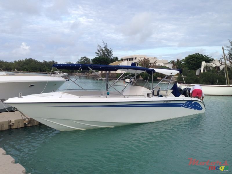 2013' Custom Line Speville Cheetah 30" photo #1