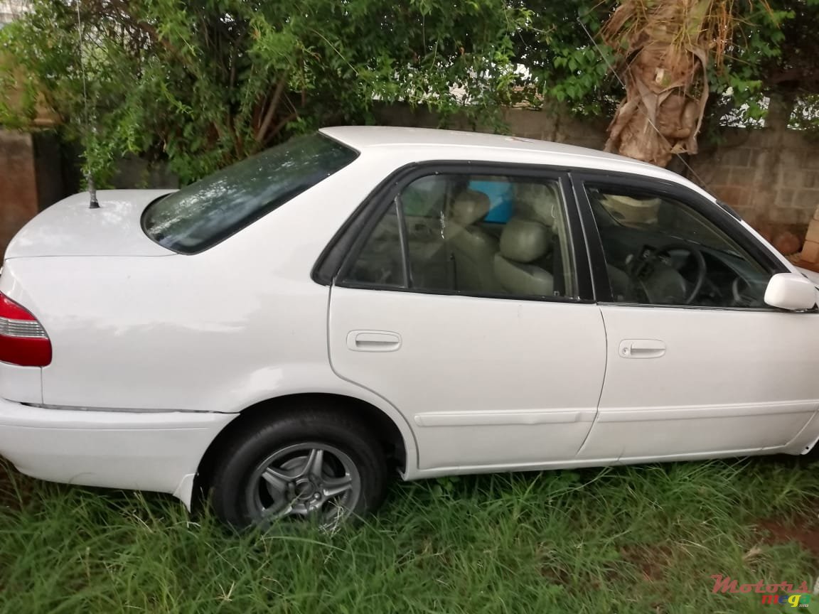 1998' Toyota Corolla photo #3