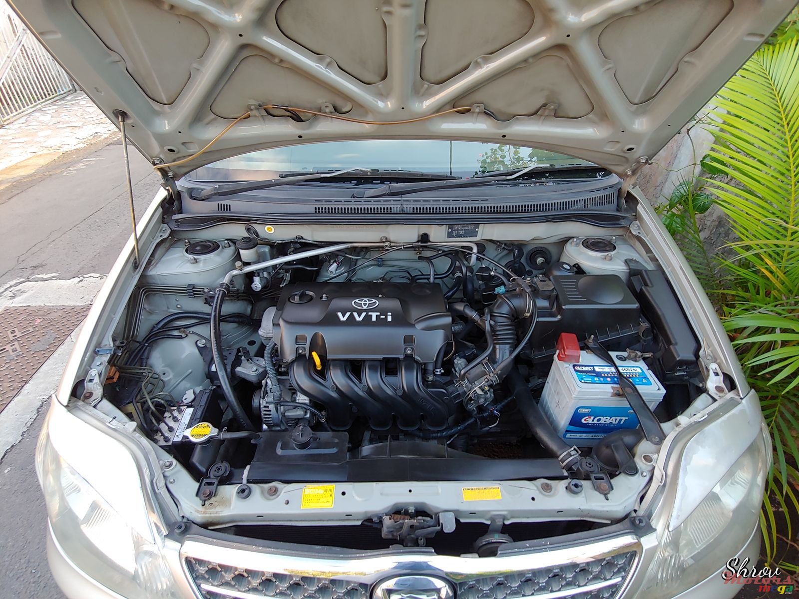 2001' Toyota Corolla NZE Grade x photo #5