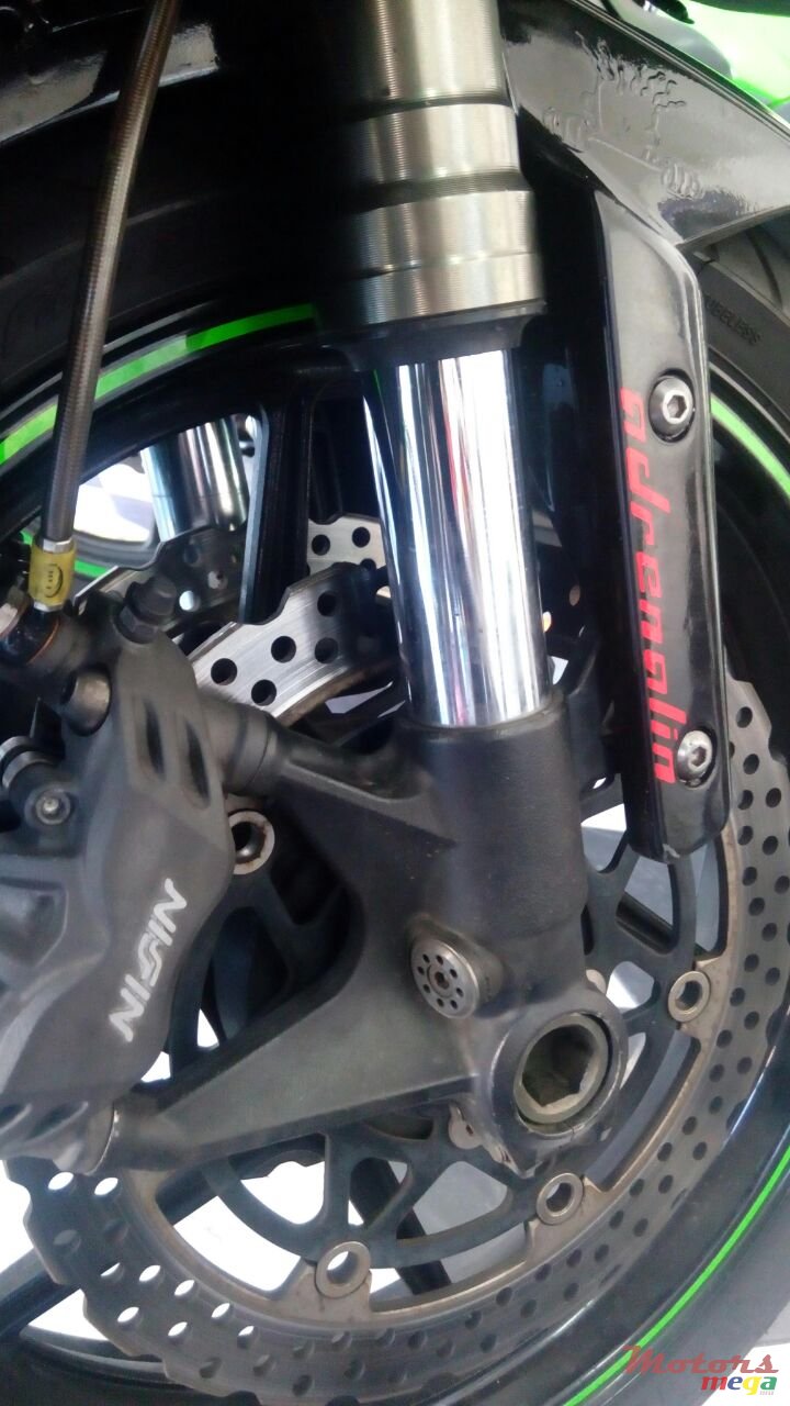 2010' Kawasaki Angel. Eyes photo #7