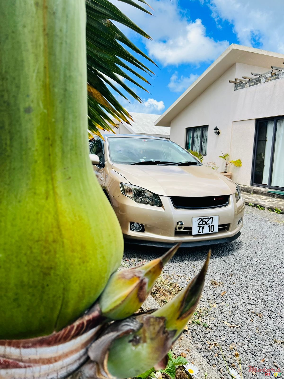 2010' Toyota Axio photo #5