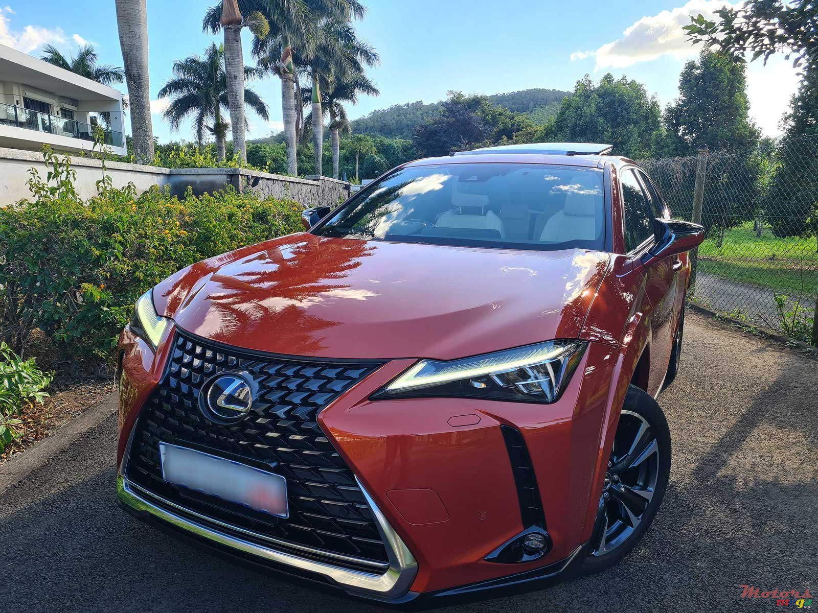 2021' Lexus UX 250h AWD photo #1