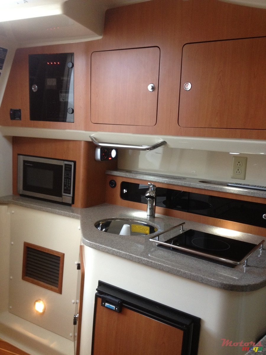 2009' Sea Triton 301XD photo #5