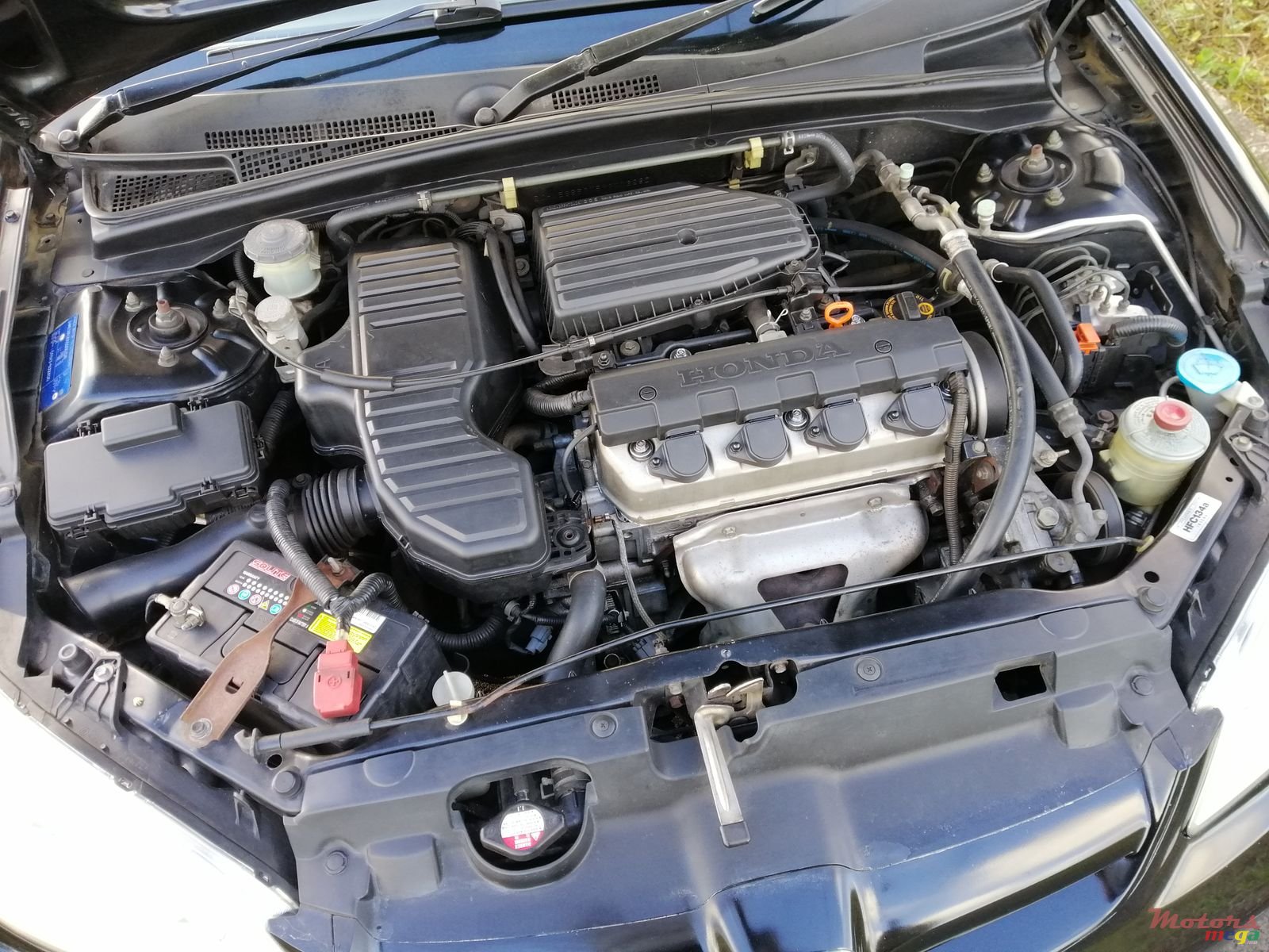 2005' Honda Civic photo #5