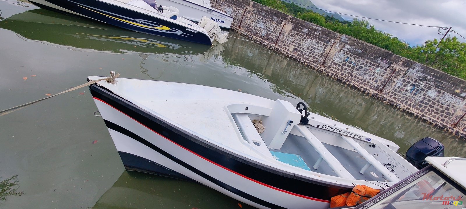 2011' Pelican 0 photo #2