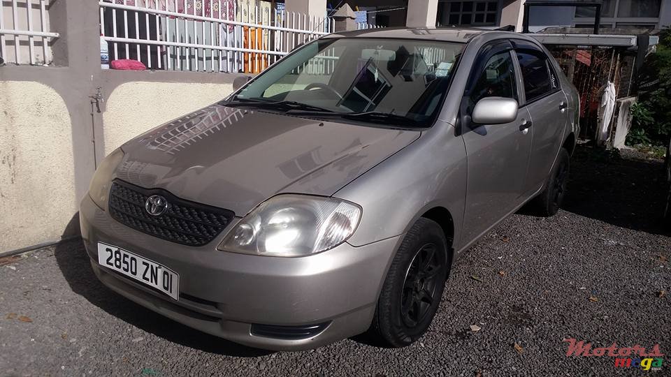 2001' Toyota Corolla NZE photo #2