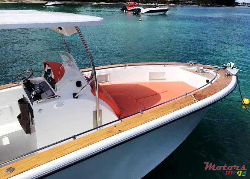 2016' Suzuki TECHMARINE 260 photo #5