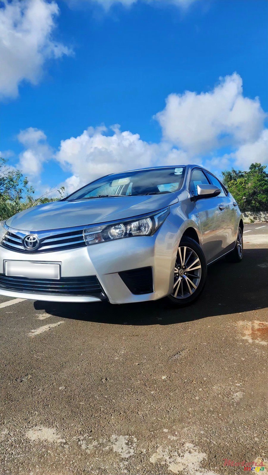 2016' Toyota Corolla photo #1
