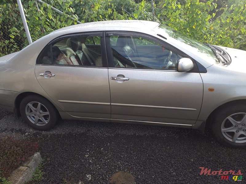 2003' Toyota Corolla photo #3