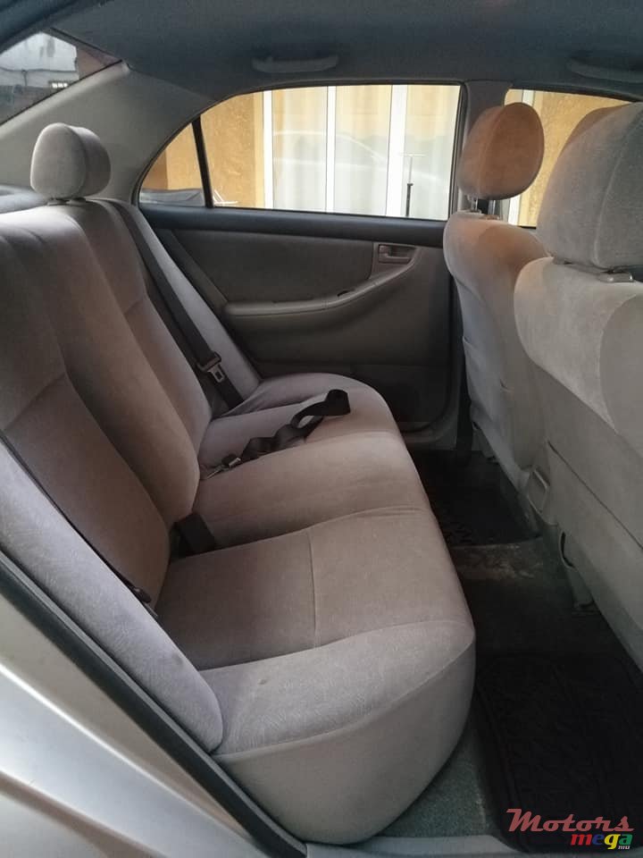 2001' Toyota Corolla NZE photo #6