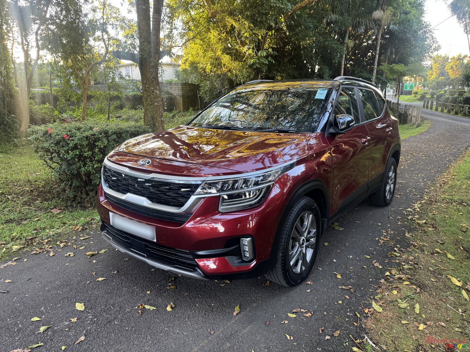 2021' Kia Seltos photo #2