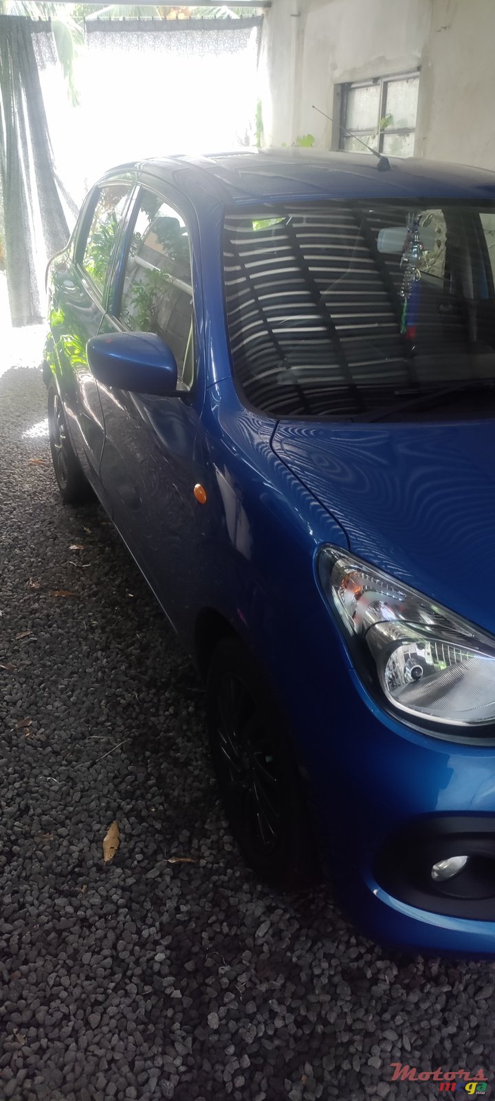 2023' Suzuki Celerio photo #1