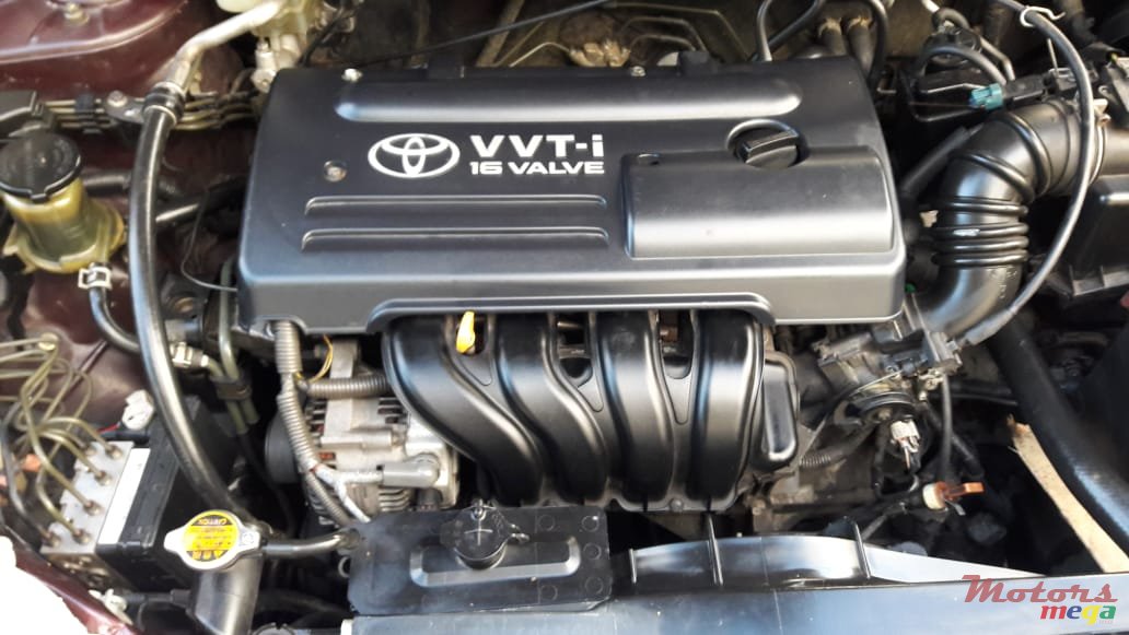 2003' Toyota Corolla photo #5