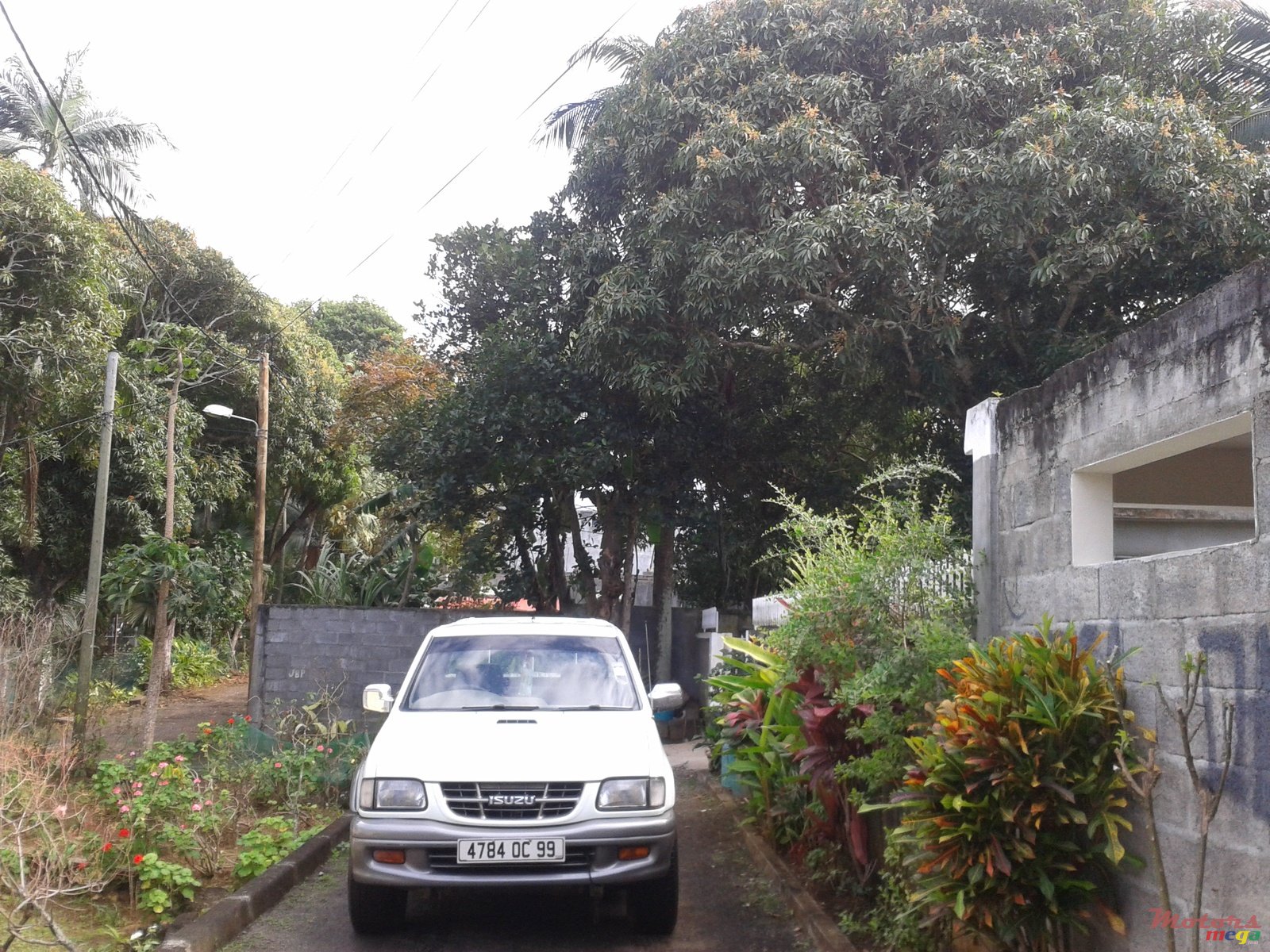 1999' Isuzu photo #1