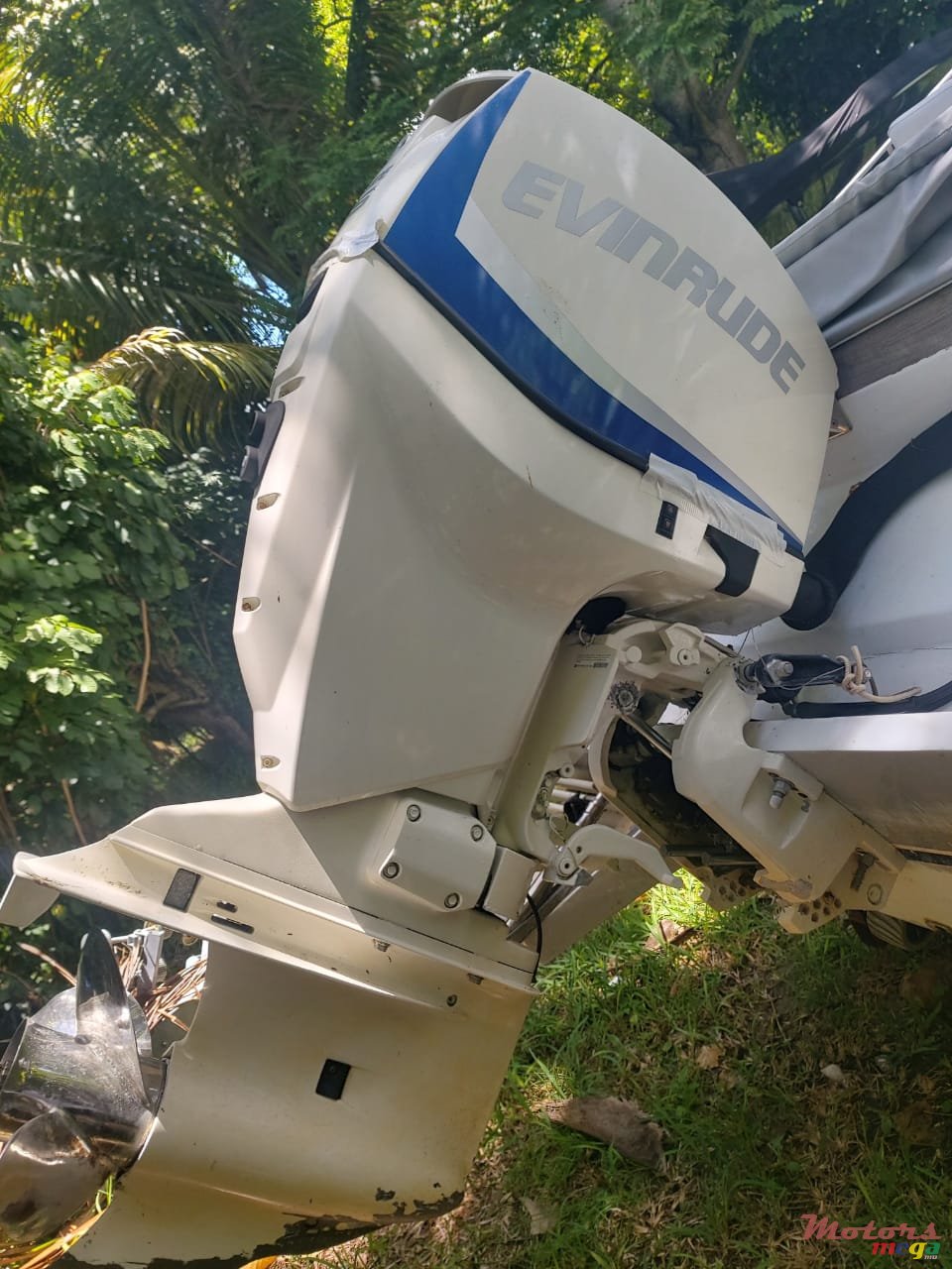 2008' Evinrude photo #2